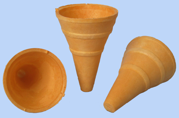 large cone